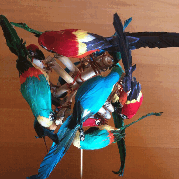 parrot-gif
